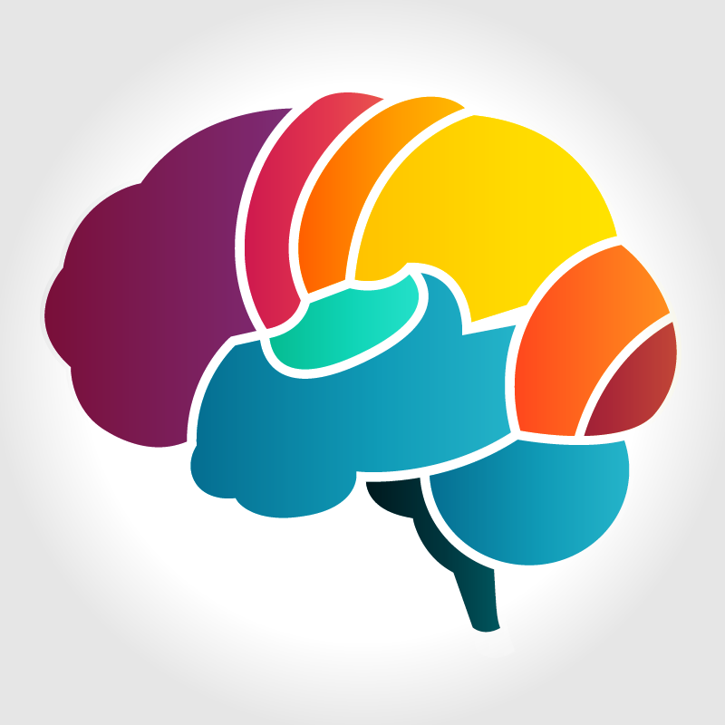 Cerebro que representa la psicología del color.